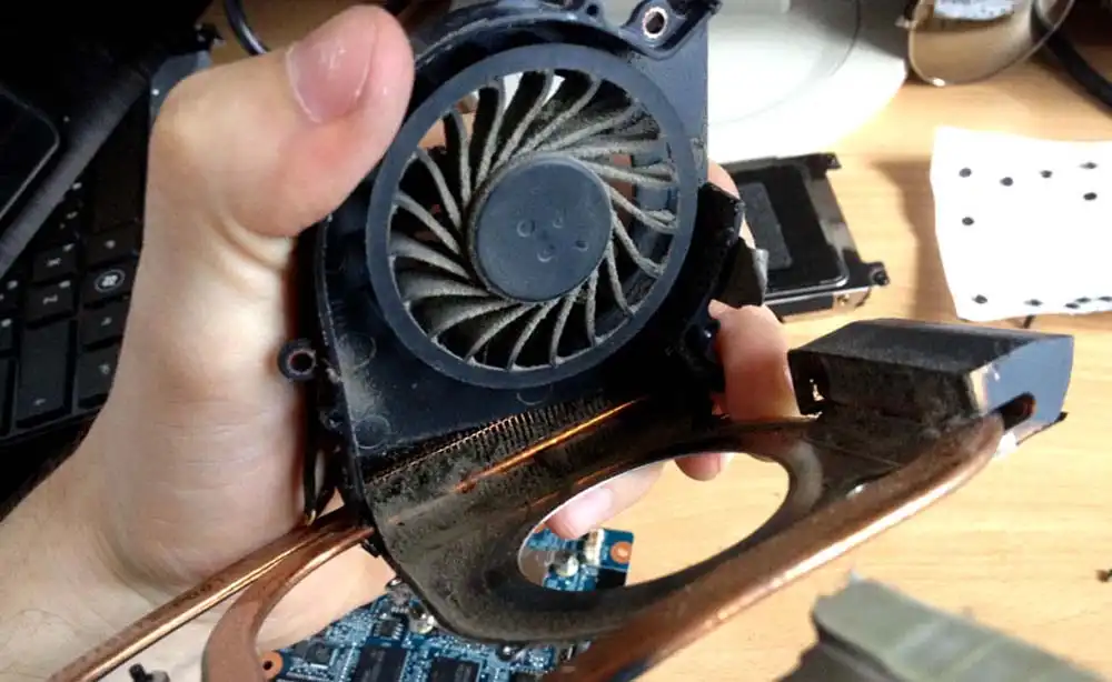 Чистка ноутбука HP от пыли в Зеленоградске | Замена термопасты